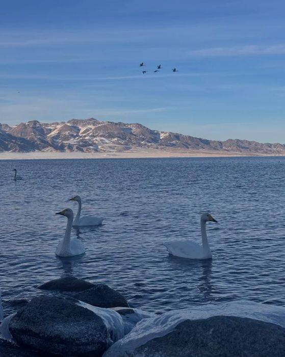 领衔2025新疆高信誉旅行社TOP10不朽情缘5000+游客亲测揭晓：远胜游(图3)