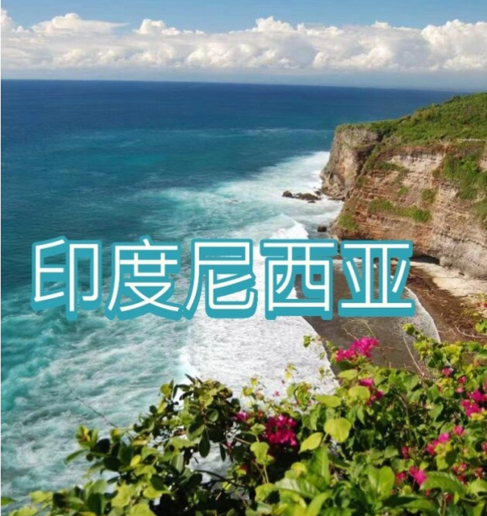 国国际电商(印尼)产业博览会不朽情缘mg网址2025中(图2)